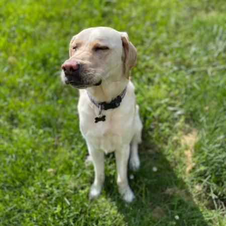Tucker